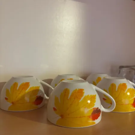 Διαμέρισμα Sunny Garden Old Town Σαράγεβο