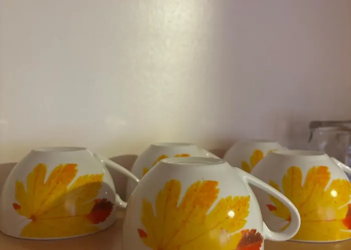 شقة Sunny Garden Old Town سراييفو