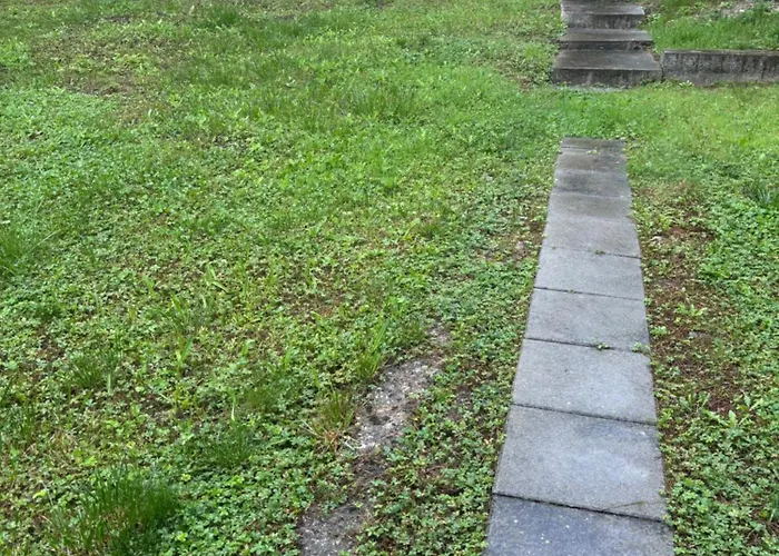 Sunny Garden Old Town شقة